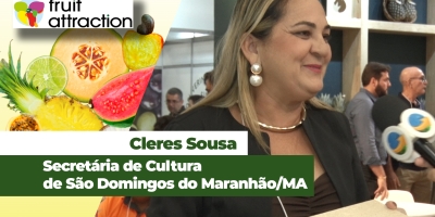 Papel de abacaxi é nova fonte de renda para município maranhense