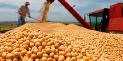 StoneX vê aumento de 5,6% na nova safra de soja do Brasil