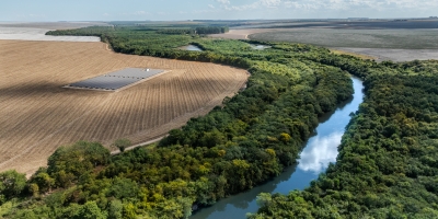 Enquanto os tecidos sintéticos alimentam crise ambiental, Abrapa leva à COP 30 a bandeira das fibras naturais