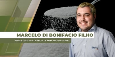 Após rally nos preços, cotações do açúcar voltam a cair com mercado de olho no tamanho da oferta