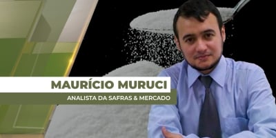 Preços do açúcar seguem em tendência de queda e são os mais baixos dos últimos anos