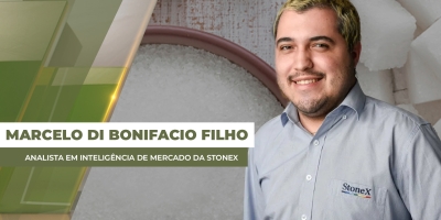 Mercado do açúcar volta a colocar alta produção na balança e preços recuam em NY