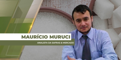 Safras robustas e demanda pontual do Paquistão fazem com que preço do açúcar mantenha estabilidade no mercado internacional