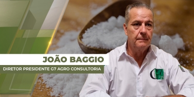 Mercado do açúcar continua a acompanhar instabilidade do petróleo e preço se aproxima dos 16 cents em NY