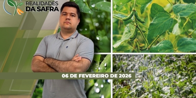 Chuvas estão atrasando as colheitas da soja em Goiás e no triângulo mineiro