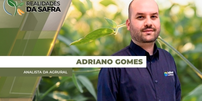 Custo do frete dispara no Brasil e fica em patamares muito acima da média dos últimos 5 anos