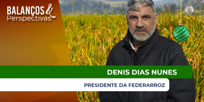 Preços do arroz em 2025 atingiram os menores níveis em anos no Brasil