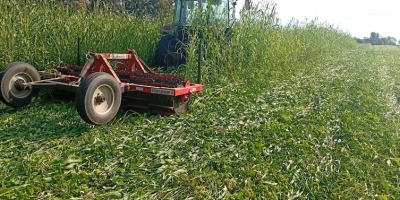 Importância da agricultura de inverno, por Prof. Afonso Peche Filho