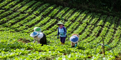 China coloca segurança alimentar no centro da estratégia nacional e amplia investimentos para reduzir dependência externa