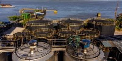 Agropalma anuncia retomada na produção de biodiesel no Pará