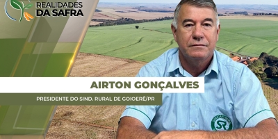 Falta de chuvas e altas temperaturas já trazem perdas de produtividade para o milho em Goioerê/PR