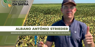 Lavouras de soja em São Borja/RS começam a apresentar sinais de déficit hídrico