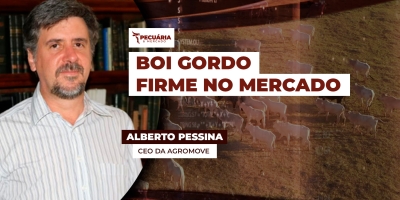 Mercado do boi gordo se mantém firme com oferta restrita e demanda aquecida