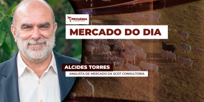 Segregação do rebanho surge como alternativa para atender demanda da UE