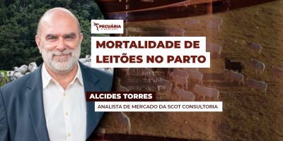 Maior oferta de animais encontra demanda interna frágil e arroba recua, mas pagamento dos salários pode reduzir pressão