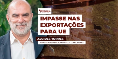 Segregação do rebanho surge como alternativa para atender demanda da UE