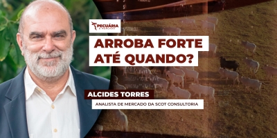 Arroba do boi tem nova rodada de alta sustentada pela corrida dos frigoríficos para cumprir cota Chinesa