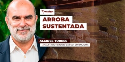 Mercado do boi deve se manter firme nos próximos vinte dias, mas com sinal de alerta para julho e agosto