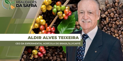 Colheita do café e aproxima e produtor precisa se atentar aos detalhes para realizar um bom manejo