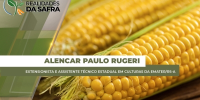 Colheitas do milho verão e da soja chegam à fase final da safra 25/26, marcada por irregularidade e impactos do clima