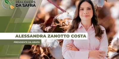 Bahia finaliza plantio do algodão com aumento da área irrigada