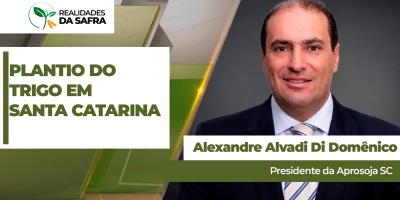Santa Catarina começa plantio do trigo com dias seguidos de temperaturas negativas