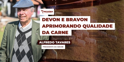 Devon e Bravon e a busca pelo aprimoramento da qualidade de carne no rebanho brasileiro