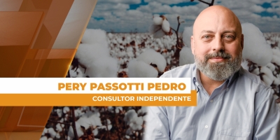 Algodão com expectativas para recorde de exportação e safra