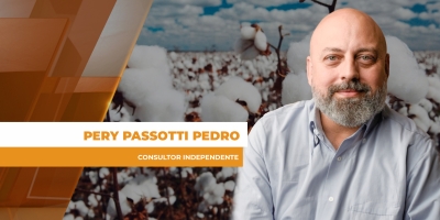 Algodão reage na bolsa e mercado levanta alerta sobre clima, petróleo e oferta