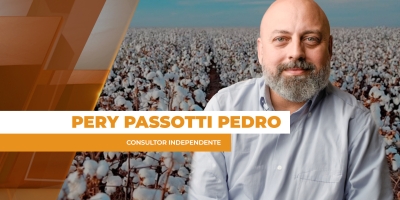 Após 2 anos de pouca volatilidade, mercado do algodão trabalha com oscilações significativas nas cotações futuras