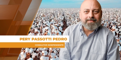 Apesar de queda considerável, algodão consegue manter cotações acima de 84 cents em NY