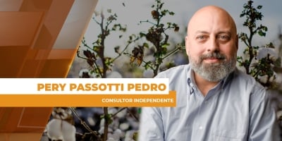 Colheita de algodão avança no Brasil e possíveis impactos climáticos na safra do MT são avaliados
