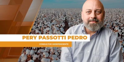 Relatório do USDA apresenta estoques globais confortáveis para o algodão, mas preços trabalham no positivo