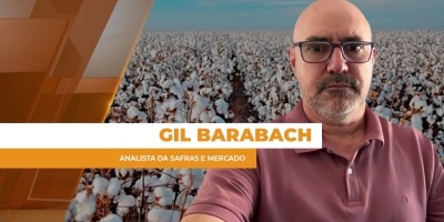 Na reta final de plantio, mercado do algodão acompanha volatilidade no mercado internacional