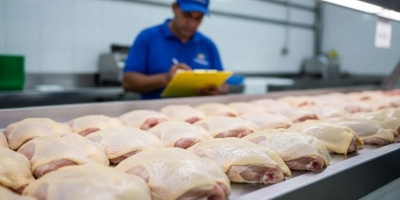 Alta do frete interrompe queda no preço do frango no fim de março no Brasil