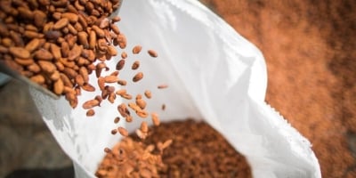 CNA vê como avanço aprovação de PL que define regras para produtos derivados de cacau