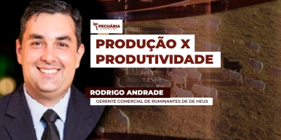 Os investimentos na nutrição animal e a busca por dietas eficientes