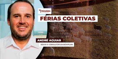 Frigoríficos usam férias coletivas para conter movimento de alta da arroba do boi