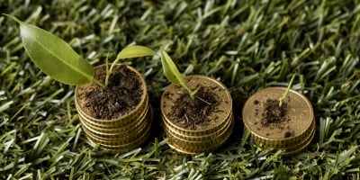 Reforma tributária pode aumentar o imposto do produtor rural para até 11,4%, segundo especialista