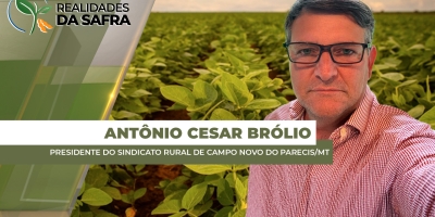 Com 20% da soja colhida, Campo Novo do Parecis/MT vem registrando boas produtividades