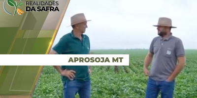 Aprosoja MT reporta atrasos e dificuldades de plantio da soja em Rondonópolis, Juscimeira e Campo Verde