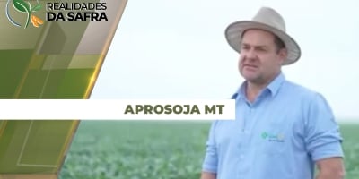 Alto Taquari/MT e Alto Garças/MT sofreram com falta de chuvas para as lavouras de soja