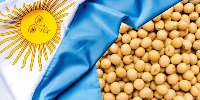 Argentina pode obter uma receita agrícola quase recorde em 2027, prevê bolsa