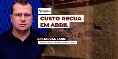 Embrapa confirma recuo no custo de produção para suinocultura e avicultura, mas alerta para riscos do El Niño no segundo semestre