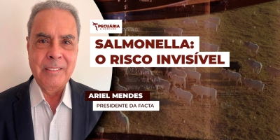 Gestão de riscos na suinocultura: por que o controle de Salmonella precisa ir além da conformidade?