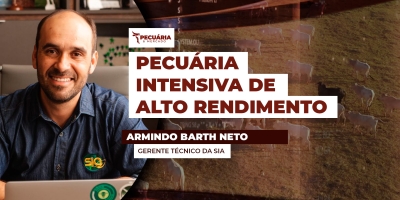 Conheça os sete pilares da produção em uma pecuária de alto rendimento