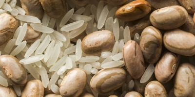 Do prato ao campo: Como a queda no consumo de arroz e feijão afeta a saúde e a renda do produtor rural