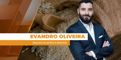 Conflitos no Oriente Médio deixam setor de arroz no BR em alerta sobre custos de produção maiores, logística mais cara e escoamento global