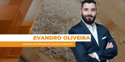 Brasil deve colher próximo de 10,7 milhões de toneladas de arroz e ter 2026 de reajuste do mercado