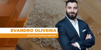 Custo de produção bem acima dos preços deixa setor do arroz em alerta